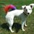 Heidi Csencsits's profile image