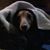 Rosie Philips's profile image
