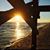 Gina Dampier Longenecker's profile image
