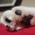 Karen Maria Parrish Woodard's profile image