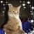 Kimberly Ann's profile image