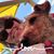 Tamara Anderson's profile image