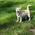 Dawn R Kesgard's profile image