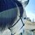 Kristin Scholz's profile image