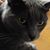 Stephanie Dirlam-Upton's profile image