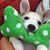 Roma Voloshin's profile image