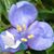 Marylee Chang's profile image
