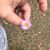 Valda Tout's profile image