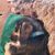 Robert Sweet's profile image