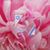 Elisheva Sandy Shields's profile image