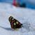 Tracy Truesdale's profile image