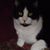 Linda Baker's profile image