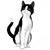 Casper Felix's profile image