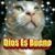 Pastora Alicia Zatarain Garcia's profile image