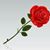 Marie-France Caillet Bell's profile image