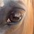 Gail Marion Blackburn's profile image