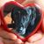 Sarah Campbell's profile image