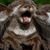Cynthia Helms's profile image