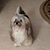Renee Erbe's profile image
