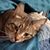 Kristel Lowe Vasas's profile image