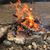 Dale Houle's profile image