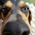 Marci Dulyea-Klinger's profile image
