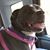 Debra Bennett's profile image