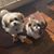 Kathleen M. McCarthy's profile image