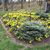 Donita Brzoska Wilks's profile image