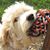 Tina Kappmeyer's profile image