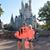 Jeff N Ashley Tipton's profile image