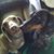 Lisa Jerscheid's profile image