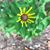 Mary Ann Welch Stewart's profile image
