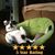 Teri Rountree's profile image