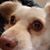 Eli Flores's profile image