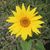 Lynn Nemec's profile image