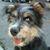 April Crabb's profile image