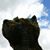 Jane McGinnis's profile image