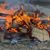 Shelby Ryan's profile image