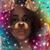 Raidiris Rojas's profile image