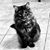 Michelle Winburn Talkington's profile image
