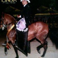 Jose Hey Hey Lozada's profile image