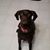 Jeff Meixner's profile image