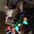 Margie Spuches's profile image