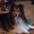 Patricia Klar's profile image
