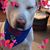 BradFord Beau Baker's profile image