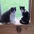 Jo Royer's profile image