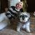 Jolie Sentmanat's profile image