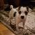 Cathy Baker Junas's profile image