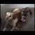 Laurie Bonney's profile image